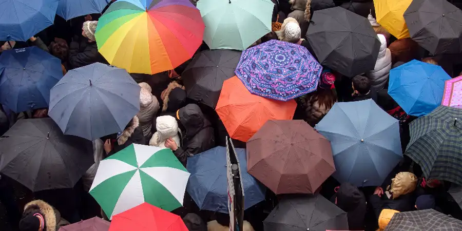 Global Umbrella Distribution: Trim Waste & Boost Profitability