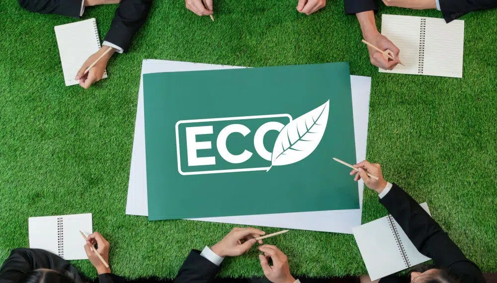 How to Verify Eco-certifications Before You Pay a Deposit?