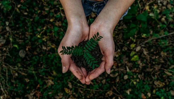 Forest Stewardship Council