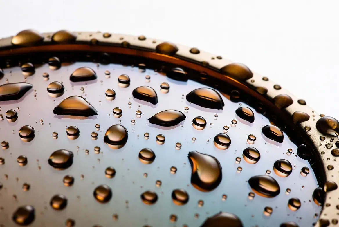 Lens Coating & Tinting